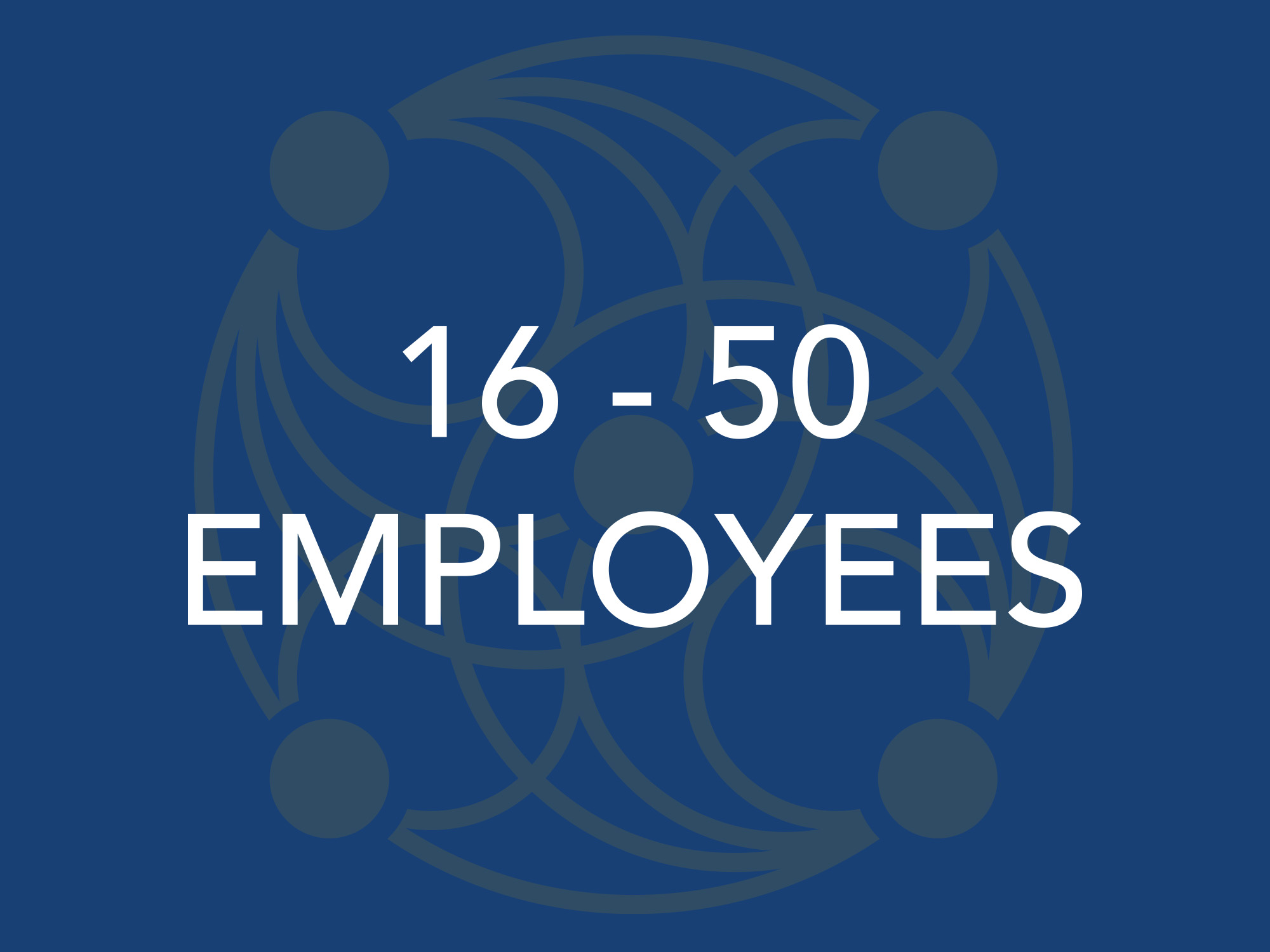 16-50 Employees
