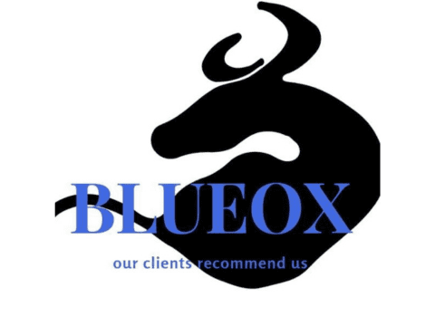 BlueOx Logo